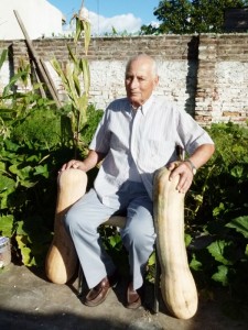 #mejor robando que recolectando